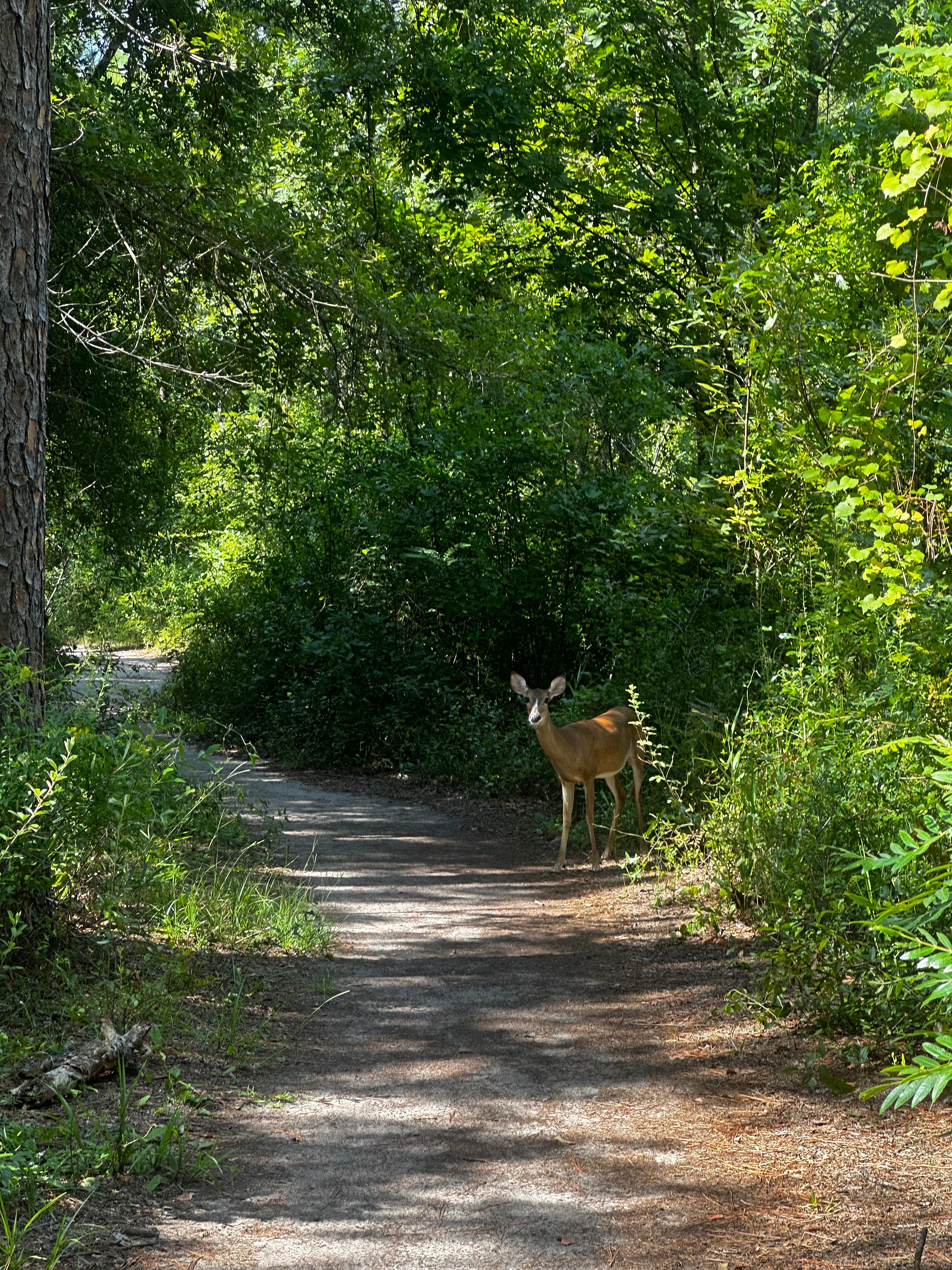 Take2Trail