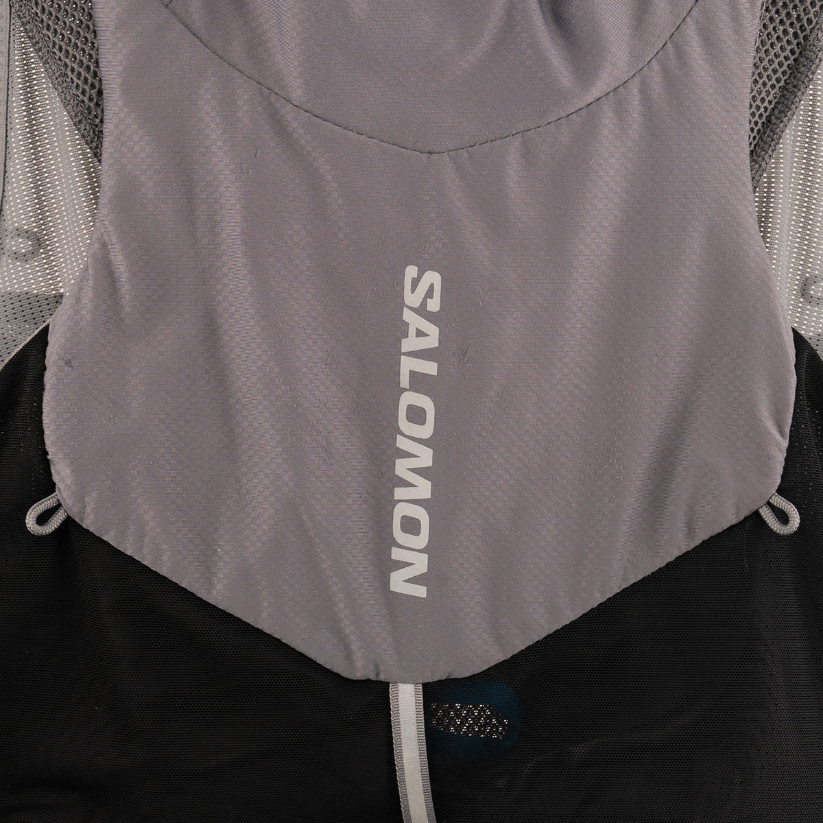 Salomon ADV Skin 12 (L Unisex)