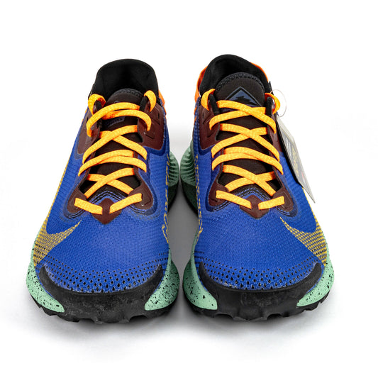 Nike Trail Pegasus GTX (8.5 Men)