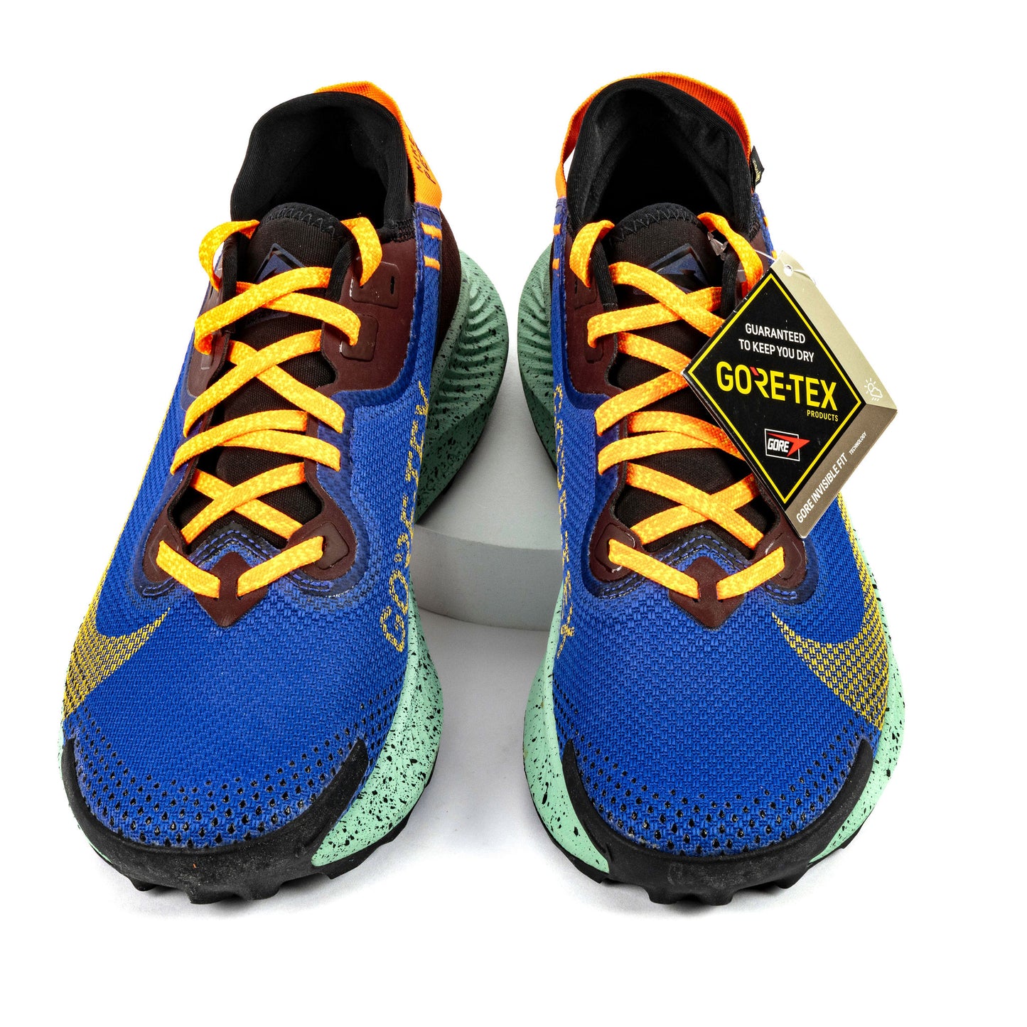 Nike Trail Pegasus GTX (8.5 Men)
